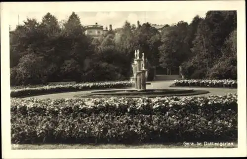 Ak Gera in Thüringen, Dahliengarten