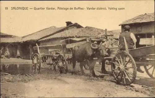 Ak Thessaloniki Griechenland, Bezirk Vardar, Buffalo-Team