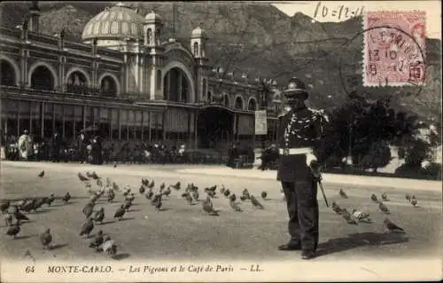 Ak Monte Carlo Monaco, Les Pigeons und das Café de Paris