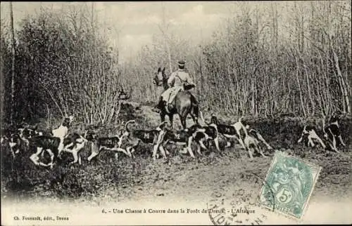 Ak Jagd im Wald von Dreux, Hundemeute bei der Attacke