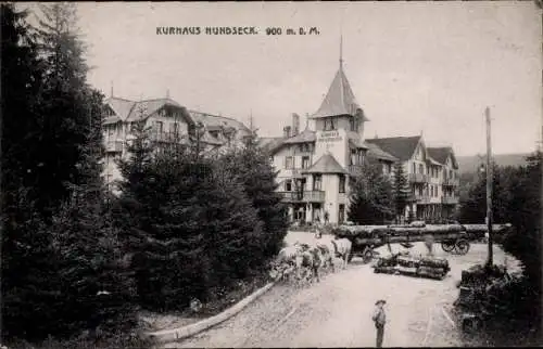 Ak Bühlertal im Schwarzwald, Kurhaus Hundseck, Ochsengespann, Baumstämme, Holztransport