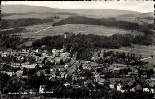 Ak Plaue in Thüringen, Panorama