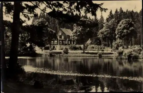 Ak Hasselfelde Oberharz am Brocken, Haus Tannenwald