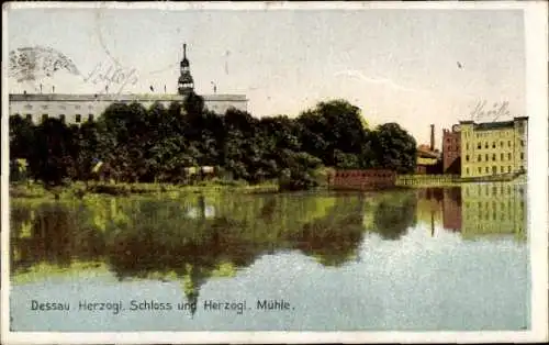 Ak Dessau, Herzogliches Schloss, Mühle, See, Gebäude