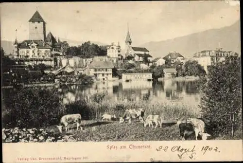 Ak Spiez am Thuner See Kanton Bern, Teilansicht