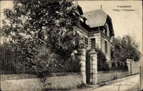 Ak Vinneuf Yonne, Villa Violettes