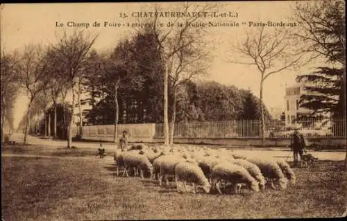 Ak Château Renault Indre et Loire, Messegelände, Nationalstraße
