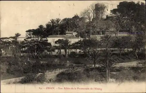 Ak Oran Algerien, Les Allées de la Promenade de l’Etang