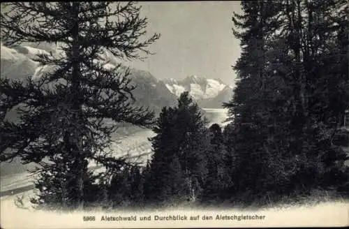Ak Kanton Wallis Schweiz, Aletschwand, Aletschgletscher