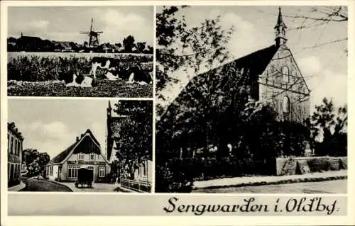 Ak Sengwarden Wilhelmshaven in Niedersachsen, Kirche, Windmühle, Ortspartie, Rinder