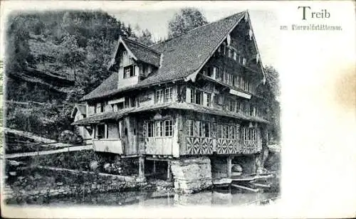 Ak Treib Seelisberg Kanton Uri, Wohnhaus am Wasser, Vierwaldstättersee