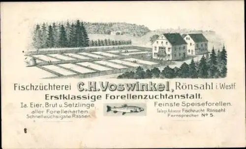 Ak Rönsahl Kierspe Sauerland, Fischzüchterei, Forellenzuchtanstalt