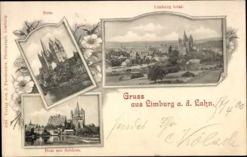 Ak Limburg an der Lahn, Dom, Schloss, Gesamtansicht