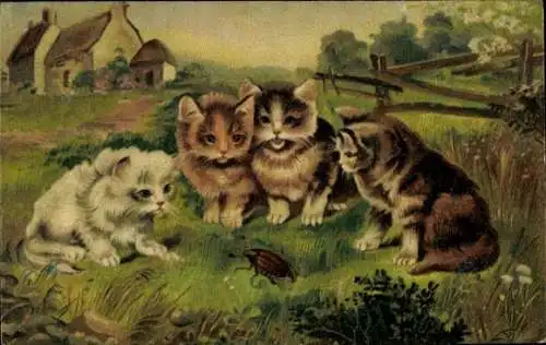 Künstler Ak Vier junge Hauskatzen beobachten einen Maikäfer, Kätzchen