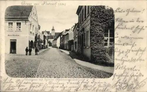 Ak Pretzsch Bad Schmiedeberg an der Elbe, Elbstraße mit Schloss, Mädchenwaisenhaus