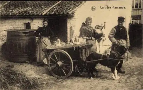 Ak Flämisches Milchmädchen, Zughund, Hundekarren