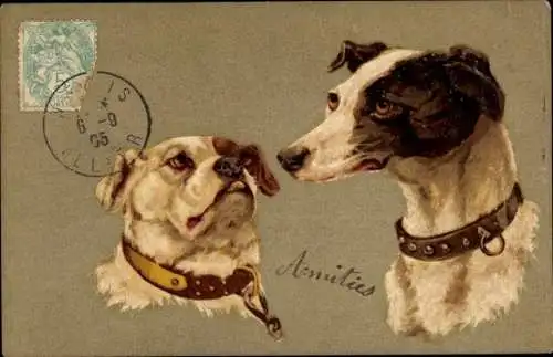 Präge Litho Zwei Hunde, Tierportrait, Halsband