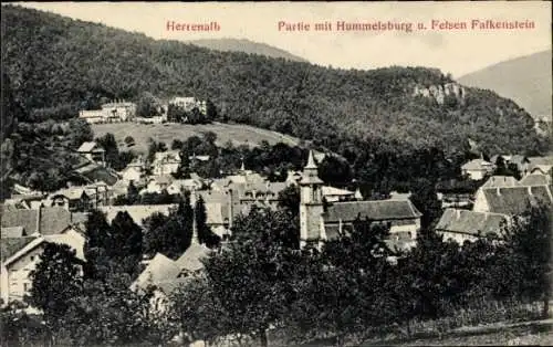 Ak Bad Herrenalb im Schwarzwald, Teilansicht, Hummelsburg, Felsen Falkenstein