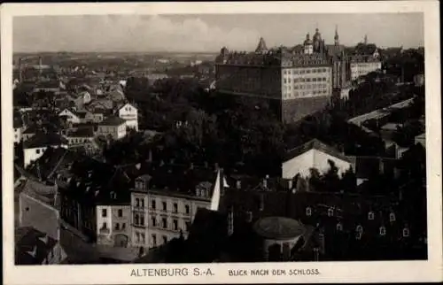 Ak Altenburg in Thüringen, Schloss, Panorama