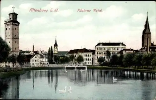 Ak Altenburg in Thüringen, kleiner Teich, Stadtpartie, Schwäne