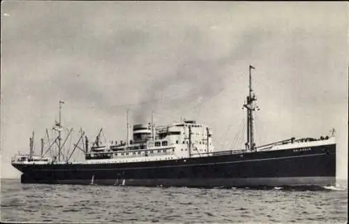 Ak Dampfer M.V. Dalerdijk, Holland Amerika Line