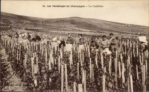 Ak Épernay Marne, La Cueillette, Die Ernte in der Champagne