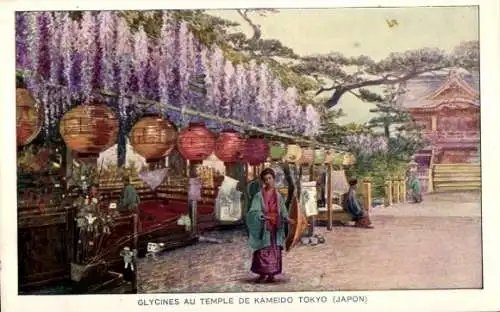 Ak Tokio Tokio Japan, Glyzinien im Kameido-Tempel