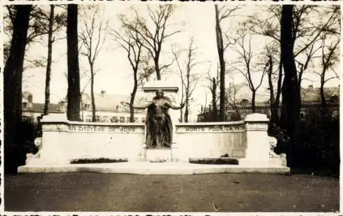 Ak Mons Wallonia Hennegau, Denkmal