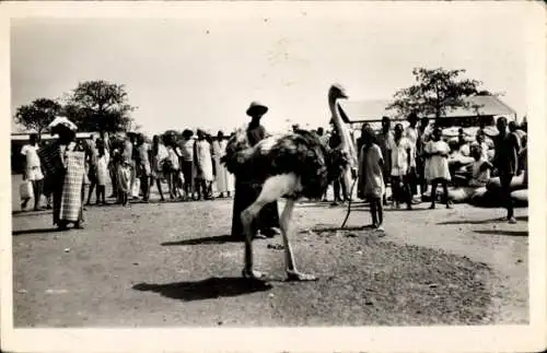 Ak Bobo Dioulasso Burkina Faso, AOF, ein Strauß auf dem Markt