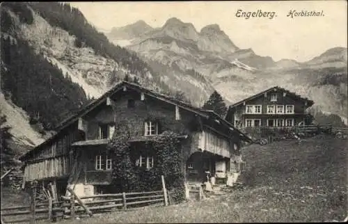Ak Engelberg Kanton Obwalden Schweiz, Horbisthal
