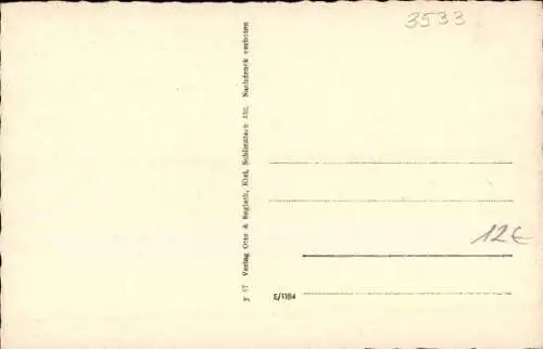 Ak Willebadessen in Westfalen, Pension Dickmann, Erholungsheim, Totalansicht