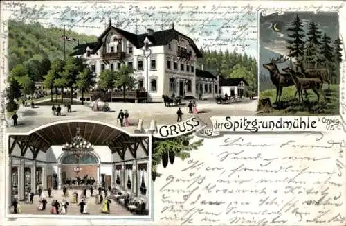 Litho Coswig in Sachsen, Spitzgrundmühle, Innenansicht
