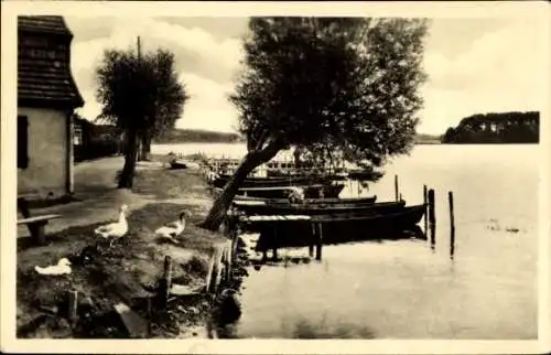 Ak Lychen in der Uckermark, Strandpromenade am Oberpfuhl