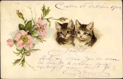 Litho Zwei kleine Katzen, Heckenrosen