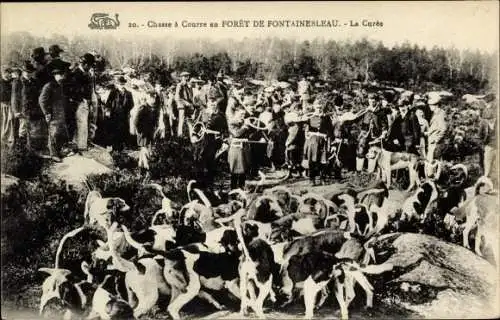 Ak Jagd im Wald von Fontainebleau, Jagdgesellschaft, Hundemeute