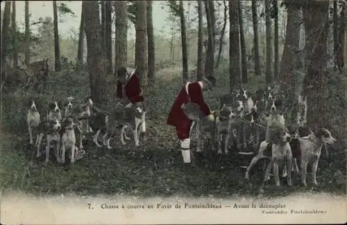 Ak Jagd im Wald von Fontainebleau, Hundemeute an der Leine