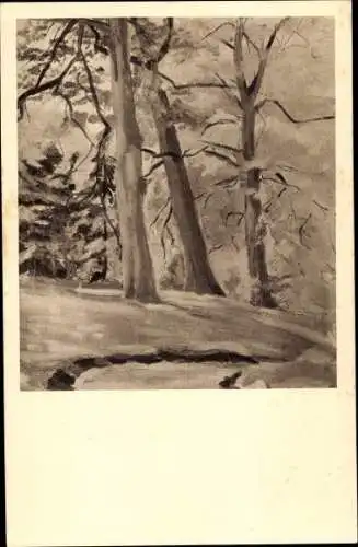 Ak Niederlande, Partie im Wald, Bäume, Schnee, Winter