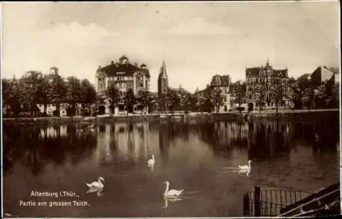 Ak Altenburg in Thüringen, Partie am großen Teich, Schwäne