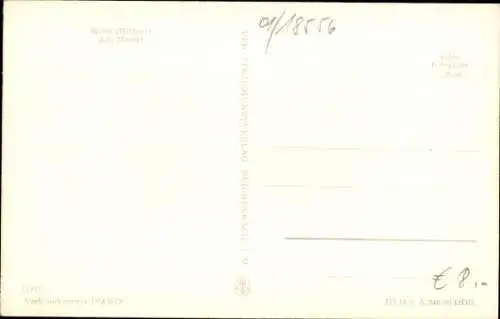 Ak Wiek auf der Insel Rügen, Markt