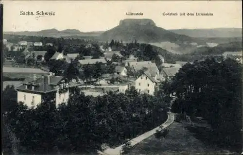 Ak Gohrisch Sächsische Schweiz, Lilienstein, Panorama