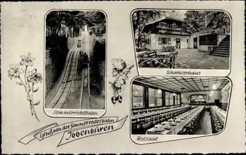 Ak Ibbenbüren in Westfalen, Sommerrodelbahn, Schweizerhaus, Festsaal