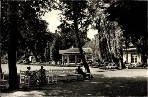 Ak Bad Salzuflen in Lippe, Kurpark