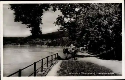 Ak Waldshut Tiengen am Hochrhein, Rheinpromenade