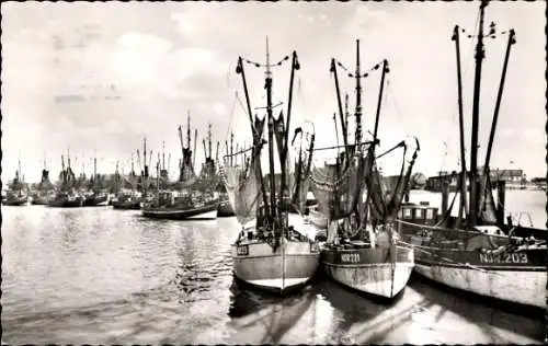 Ak Nordseebad Norderney Ostfriesland, Fischerboote am Hafen