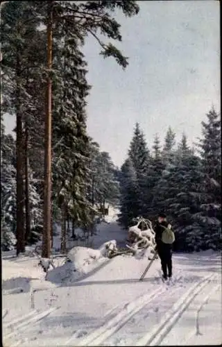 Ak Wintermotiv, Waldweg, Skifahrer