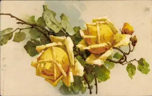 Künstler Litho Klein, Catharina, Gelbe Rosen