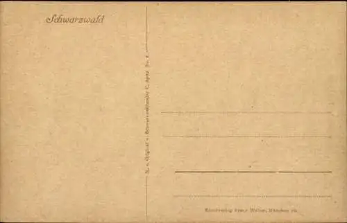 Künstler Ak Spitz, C., Schwarzwald, Haus