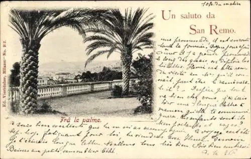 Ak San Remo Ligurien, Blick durch die Palmen zur Stadt