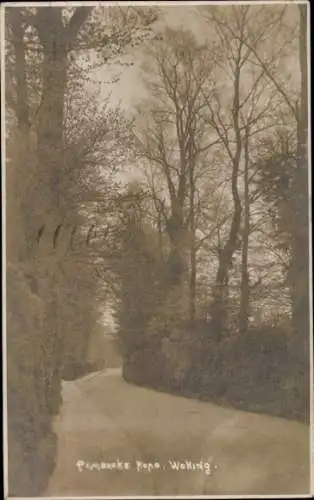 Foto Ak Woking South East England, Waldpartie, Weg