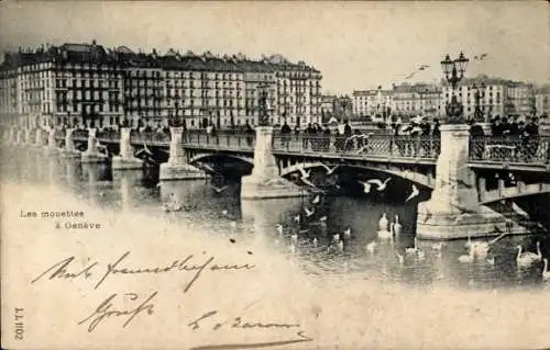 Ak Genf Stadt Schweiz, Les Mouettes